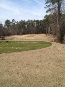 14th Hole, Par 3 at Bayonet 