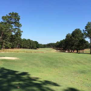 From the tee box of hole 8, my only par for the day!